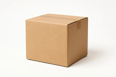 +FREE shipping